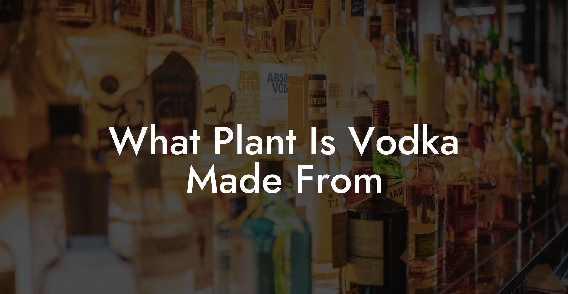 What Plant Is Vodka Made From
