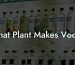 What Plant Makes Vodka