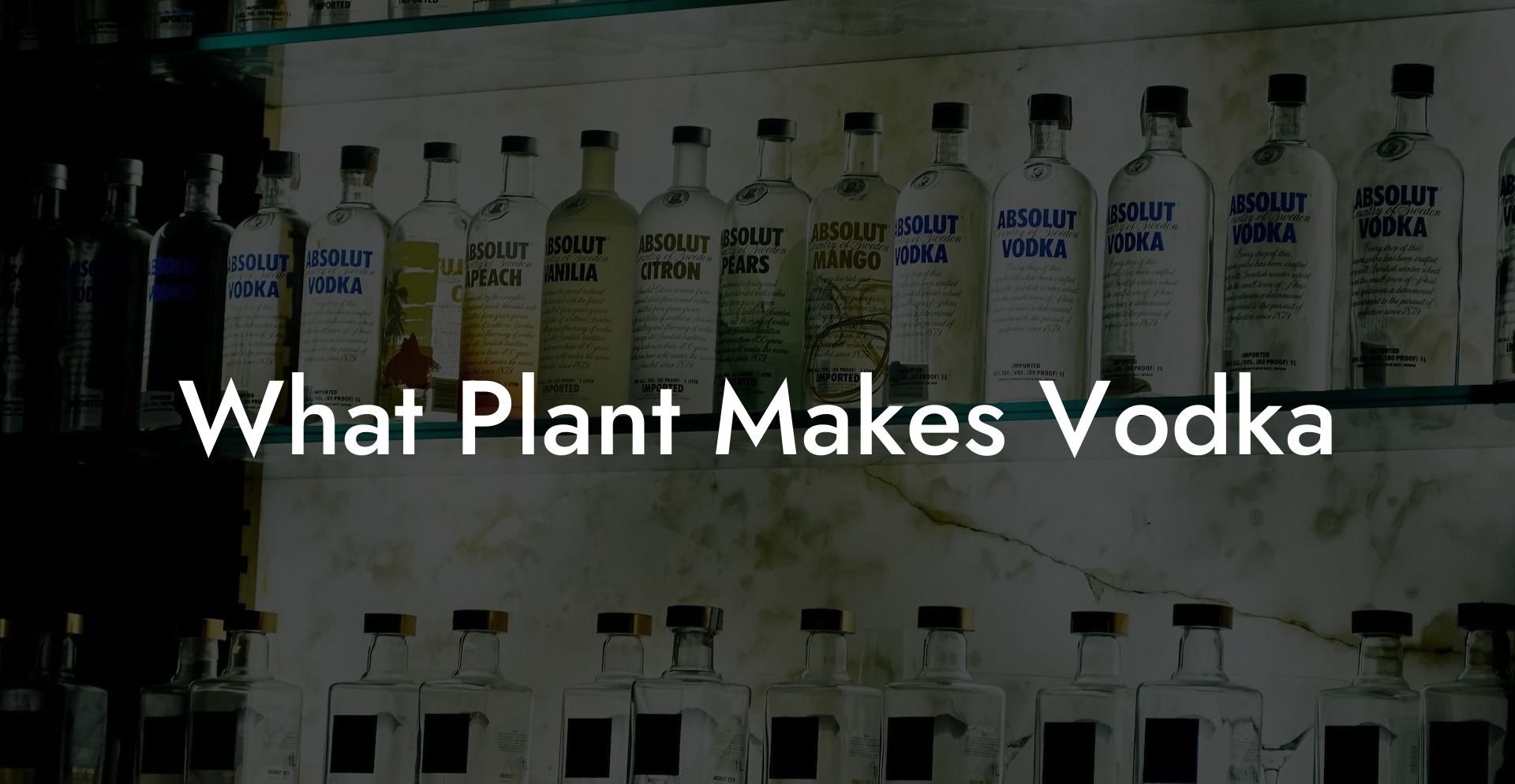 What Plant Makes Vodka