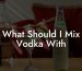 What Should I Mix Vodka With