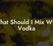 What Should I Mix With Vodka