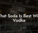 What Soda Is Best With Vodka