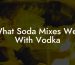What Soda Mixes Well With Vodka