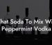 What Soda To Mix With Peppermint Vodka