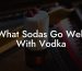 What Sodas Go Well With Vodka