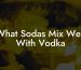 What Sodas Mix Well With Vodka