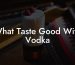 What Taste Good With Vodka