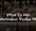 What To Mix Watermelon Vodka With