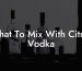 What To Mix With Citrus Vodka