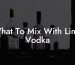 What To Mix With Lime Vodka