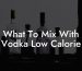 What To Mix With Vodka Low Calorie