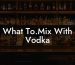 What To.Mix With Vodka