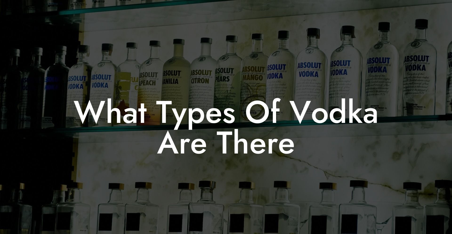 What Types Of Vodka Are There