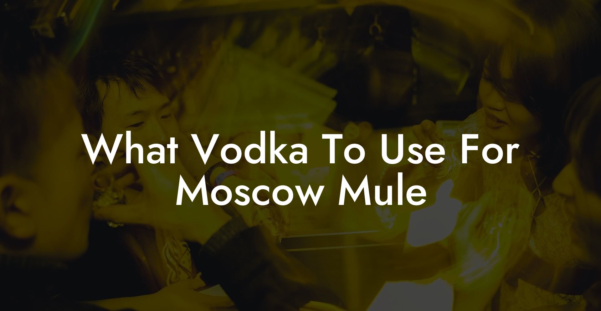 What Vodka To Use For Moscow Mule