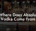Where Does Absolut Vodka Come From