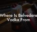 Where Is Belvedere Vodka From