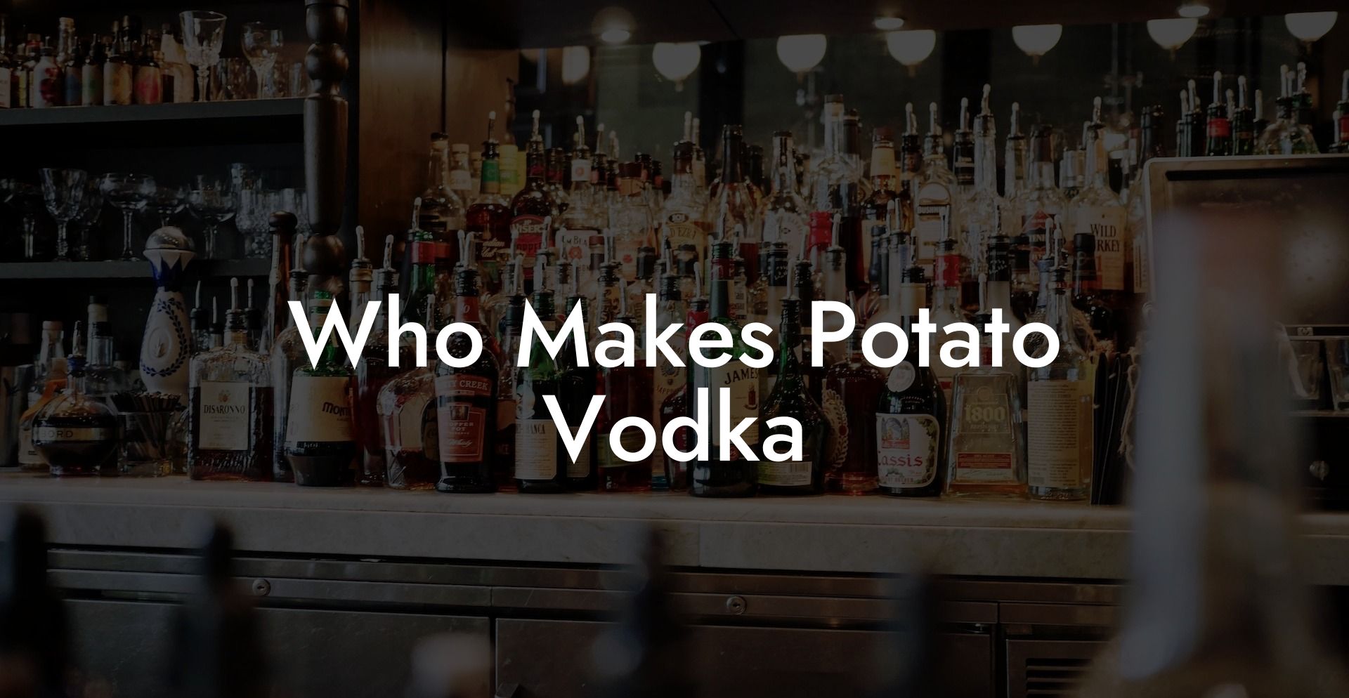 Who Makes Potato Vodka