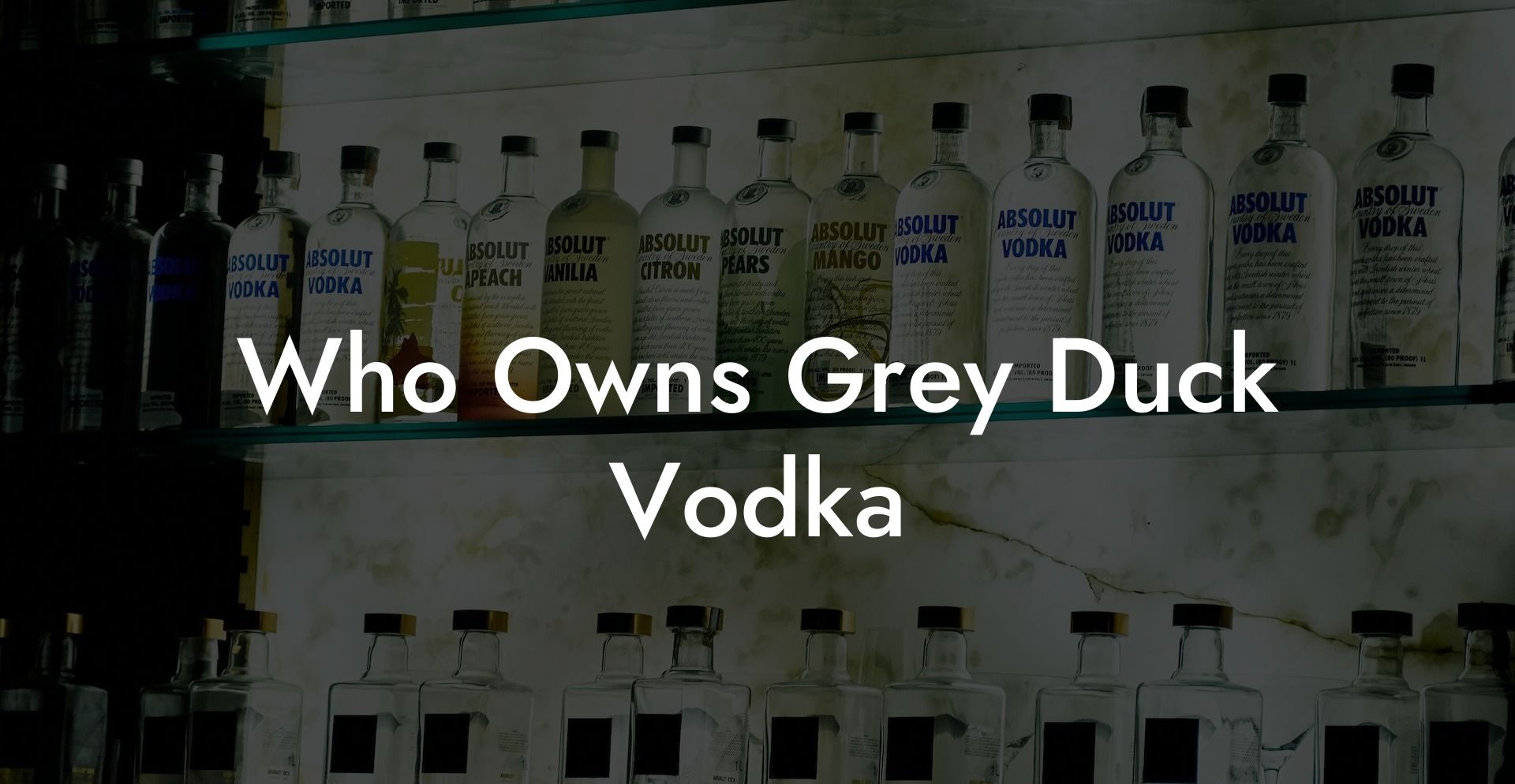 Who Owns Grey Duck Vodka
