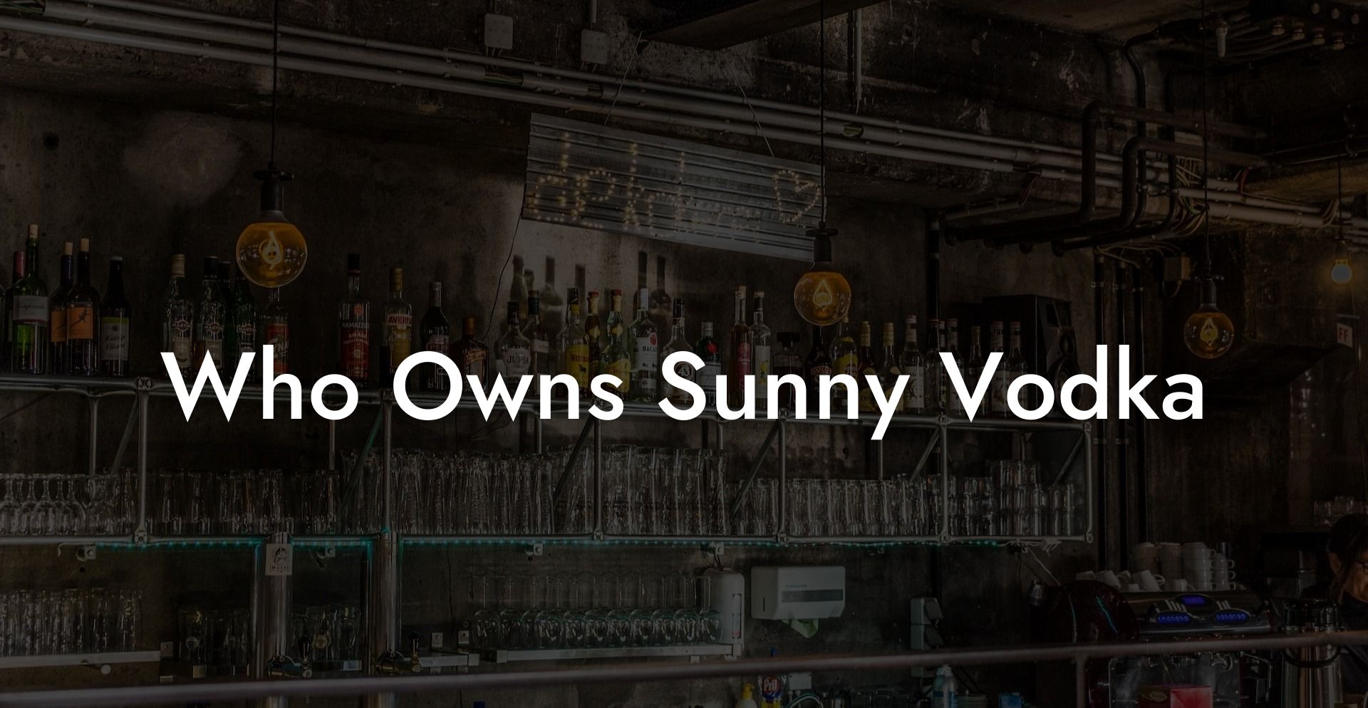 Who Owns Sunny Vodka