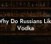 Why Do Russians Like Vodka