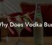 Why Does Vodka Burn
