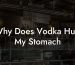 Why Does Vodka Hurt My Stomach