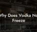 Why Does Vodka Not Freeze