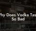 Why Does Vodka Taste So Bad